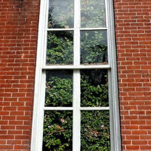 uPVC Sash Window