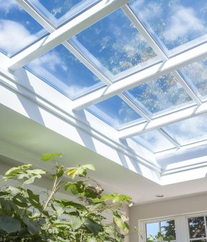 skylights