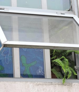 window-building (1)